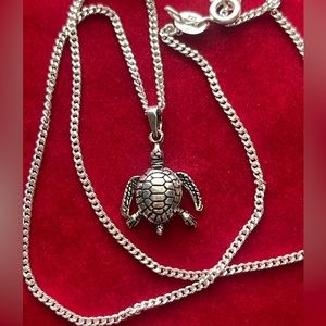 Bohemian beauty Sterling silver turtle pendant necklace